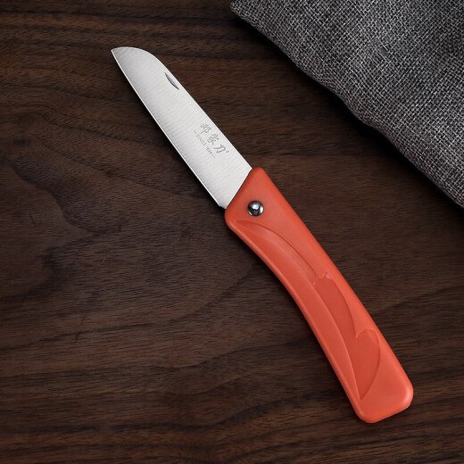 Dengjia Knife Stainless Steel Folding Fruit Knife Paring Knife Orange-Rose Red-Light Blue Color Random SGD-01Z