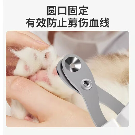 Nervous Cat (shenjingmao) Cat Nail Clippers, Special Nail Clippers for Cats, Not Easy to Reduce Nails, Anti-Scratch Scissors for Novices, Special Nail Clippers for Cats, Red Simple Style