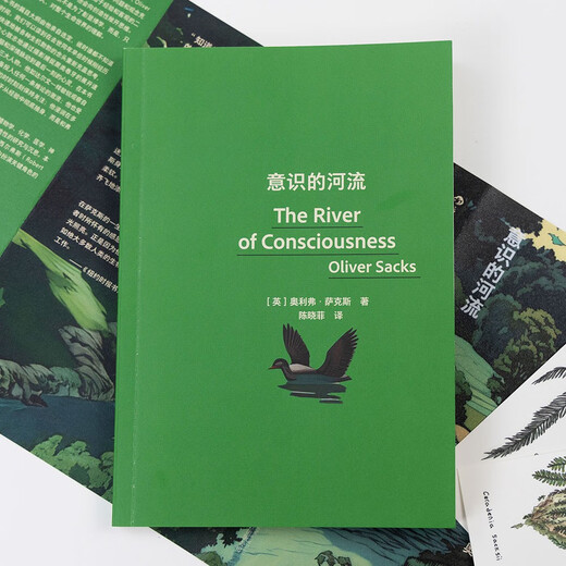 意识的河流 The River of Consciousness