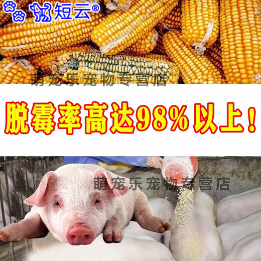 Duanyun Veterinary Mildew Remover for Sows, Cows and Sheep, Pregnant Livestock, Chickens, Ducks, Goose and Pigeons can be mixed with water and feed additives. 7 bags of mold remover and 10 bags of real hair.