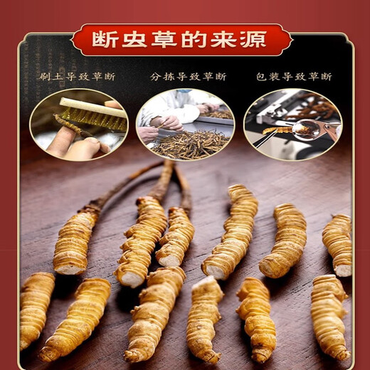 2025 Cordyceps sinensis head stage Cordyceps sinensis big broken cordyceps sinensis self-eating gifts authentic wine soaked Cordyceps sinensis 10g Nagqu Great Broken Grass Meat Festival in Tibet
