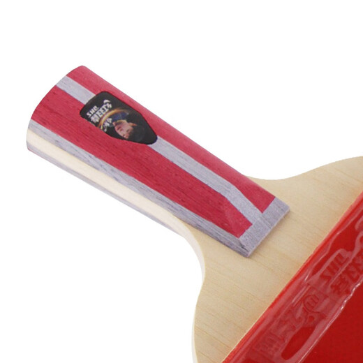 红双喜乒乓球拍2只对拍 H4四星级纯木双拍两只套装 速度进阶型 H4006直拍短柄×2只（双面反胶）