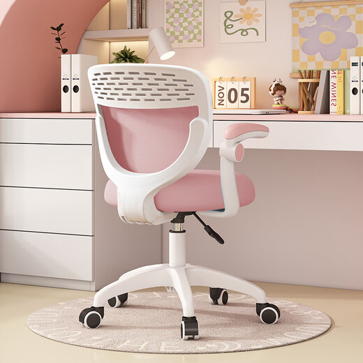 IDESK study chair desk chair home primary school student writing chair liftable seat back bedroom computer chair study chair gray-no armrests universal wheel