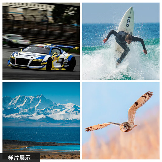 SIGMA 150-600mm F5-6.3 DG DN OS Sports full-frame mirrorless super telephoto zoom lens for bird shooting and lotus shooting (Sony mount)