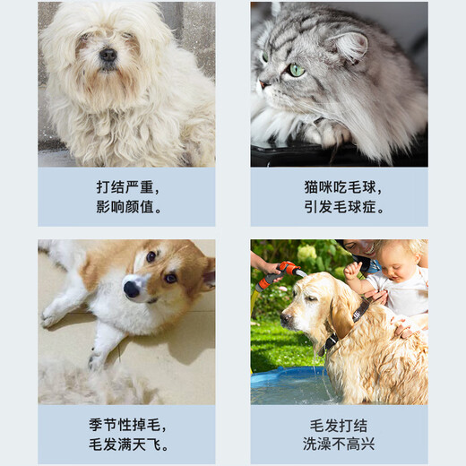 Hanhan Paradise Stainless Steel Nail Rake Comb Knot Opening Comb Cat and Dog Comb Double Row Needle Comb Medium and Large Dog Long Hair Dog Brush Cat Hair Removal Comb