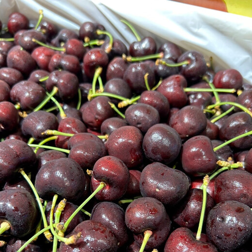 Uncle Sam Gold Award Cherry Gift Box JD Express - Next Day Delivery to Many Places New Year's Day Gift Fruit 2Jin Jin equals 0.5kg (net weight) (Cost-priced) Early adopter gift box Black Diamond Big Mac 3J 30-32mm Recommended*