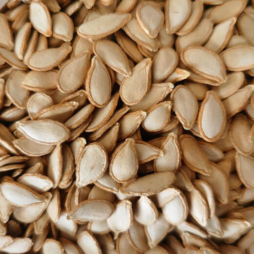 Grafted rootstock black pumpkin seeds grafted seeds black pumpkin seeds rootstock seeds black pumpkin black seeds black seeds 50 grams about 180 grains