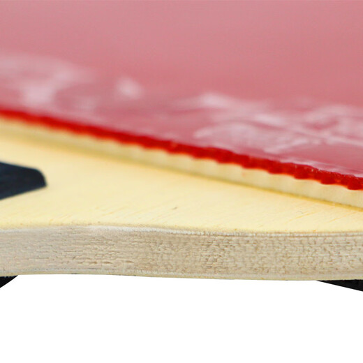 蝴蝶（Butterfly）D5乒乓球拍单拍(附拍套)直拍/短柄进攻结合弧圈双面反胶5层