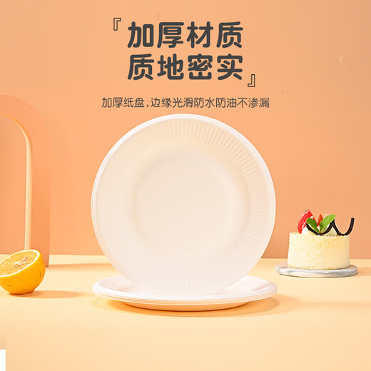 Babic Disposable Paper Plate Tableware Cake Plate BBQ Plate Western Food Plate Handmade Art Painting Paper Plate 5 inches 20 pieces