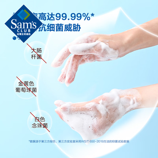 Member s Mark Antibacterial Hand Sanitizer 500ml*6