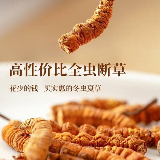 怀慈堂冬虫夏草 干货断虫草滋补品10克罐装 家庭实惠装 自食佳选