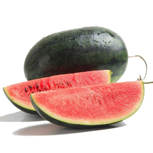Dayu Lazy Man Watermelon Seed Seedlings Extra Large Suitable for Early Maturing Lazy Man in the South 8424 Kirin Melon Meidu Seedless Fruits and Vegetables Big Fruit Black Beauty Watermelon Seeds 20 capsules 4-6kg