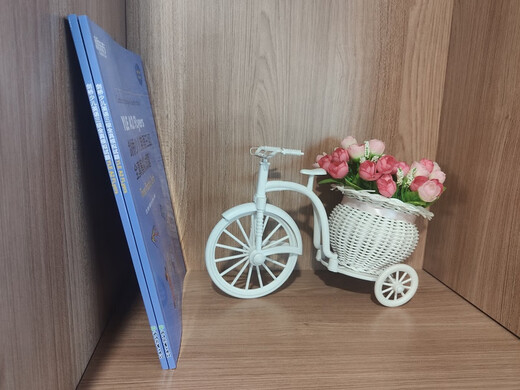 New Oriental Cambridge Children's English Level 3 vollständiger Simulationstest YLE A2 Flyer