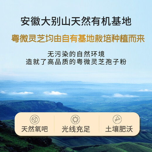 Yueweiquan Ganoderma spore powder, immune-modulating enzymatic broken polysaccharide triterpene, health care product for middle-aged and elderly adults, gift gift, 30 bags*12 boxes, half-year supply