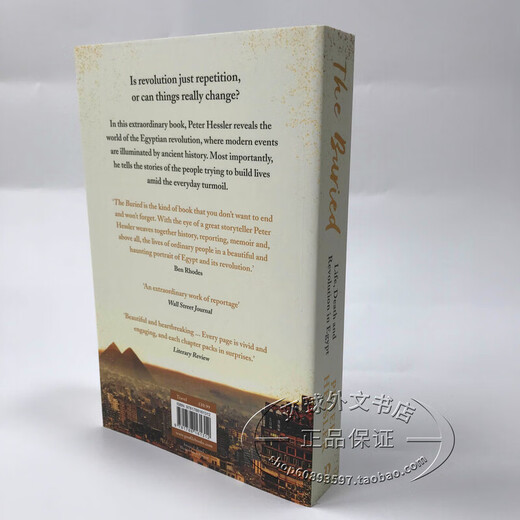 英文原版 The Buried 埃及革命考古学 Peter Hessler 何伟