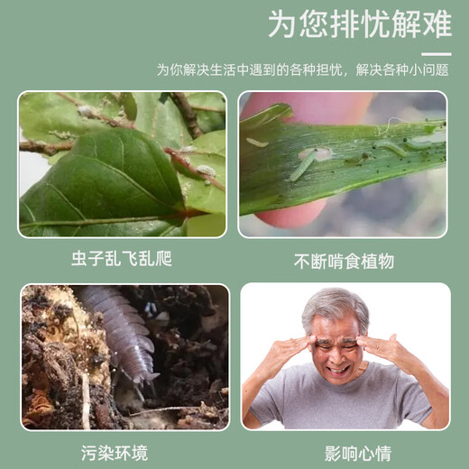 Beikeshi small white medicine multi-succulent scale insect aphid small black fly plant general flower insecticide soil insecticide granules insect control granules 100g