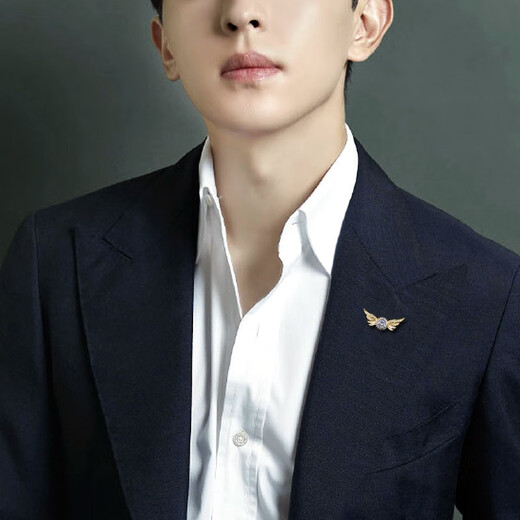 WOUG Hao Angel Wings Men's Brooch Light Luxury Corsage Simple Suit Decoration Lapel Pin Creative Gold One