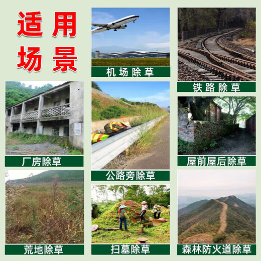 One-seven-cylindrone herbicide rotten eradication weed killing large trees bamboo shrubs miscellaneous bamboo dead roots special pesticide 500g