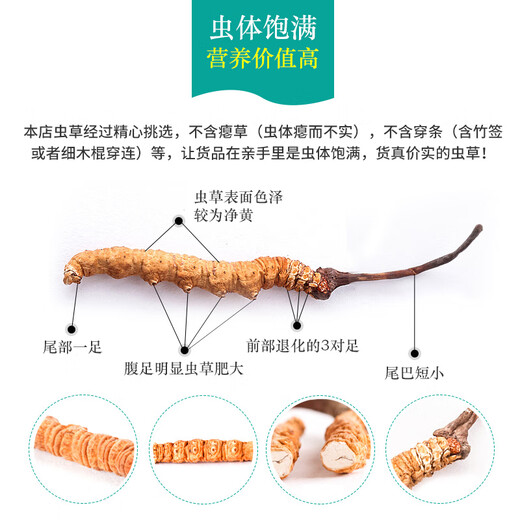 雄风道藏区雪域冬虫夏草 （规格2-3根/克）正宗虫草无断草礼盒装十根起