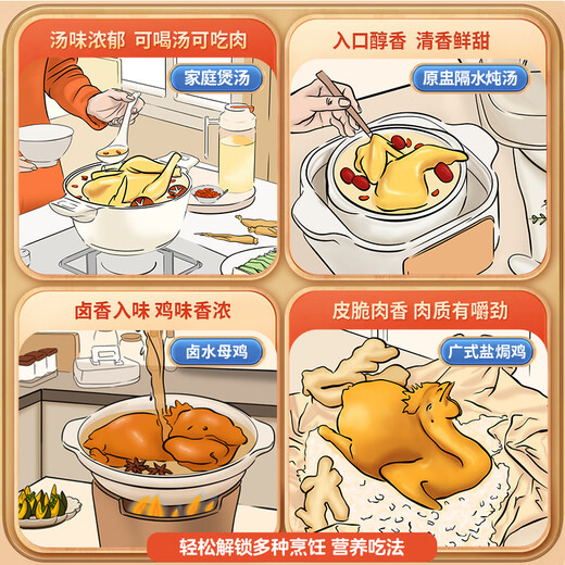 Wen's old hens supplied to Hong Kong 2.4 Jin Jin equal to 0.5 kg free-range selenium-rich old hens frozen free-range chicken 500 days confinement chicken soup