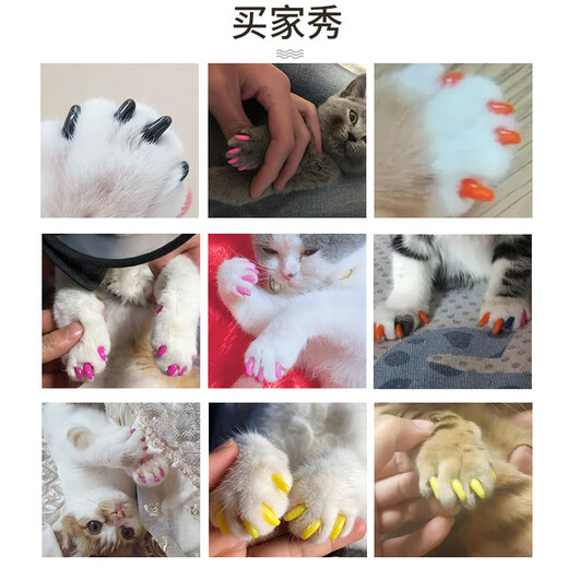 Keep a Pet (YOUNGER PET) Pet Nail Cover Dog Nail Cover Cat Nail Cover Cat and Dog Claw Cover Anti-Scratch Cover Anti-Cat Scratch Teddy Nail Cover Hibiscus Powder for Cats (20 pieces) S Suitable (2.5-5kg)