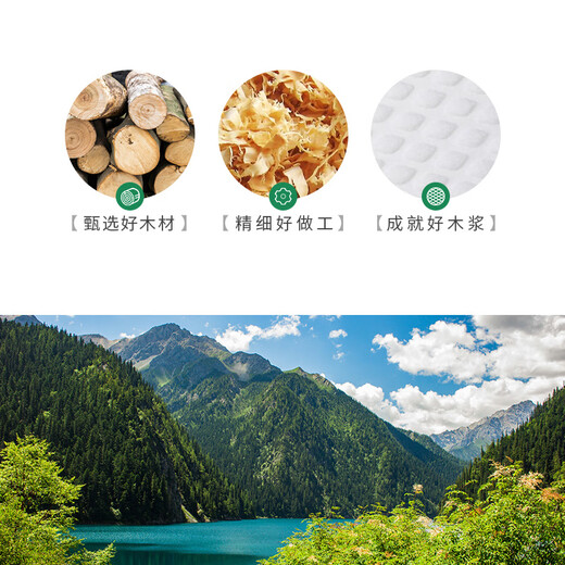 Bonnie family 30 pairs of disposable insoles for men, deodorant, breathable, sweat-absorbent, barefoot, dry, non-slip leather shoes, military training insoles for women, summer