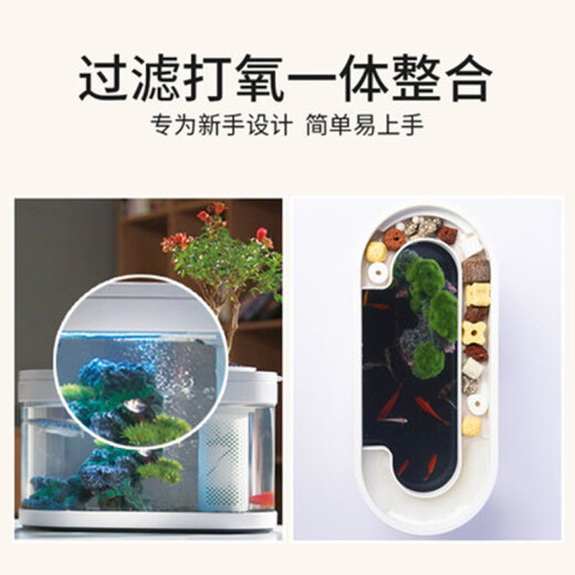 Drawing geometry APP smart fish tank wifi remote control desktop amphibious ecological lazy goldfish tank automatic feeding living room aquarium Pro version (fish tank + WiFi + feeder)