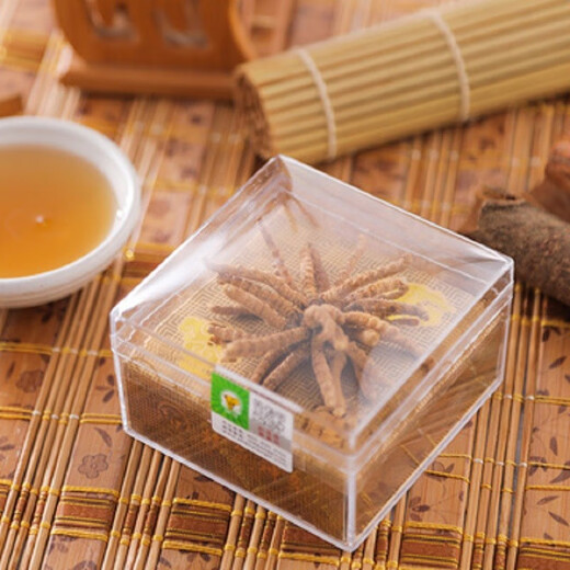 神象冬虫夏草虫体饱满 原产高原虫草礼盒 长辈领导自用送礼 5g扎花