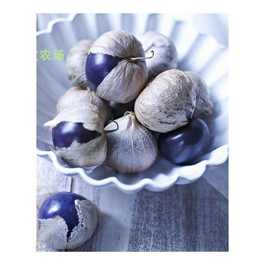 Northeastern Purple Girl Seeds Big Nosed Girl Seeds Purple Girl Fruit Fruit Big Purple Peach Physalis Big Purple Soaked Northeastern Purple Girl Seeds Original Color Pack One Pack About 100 +