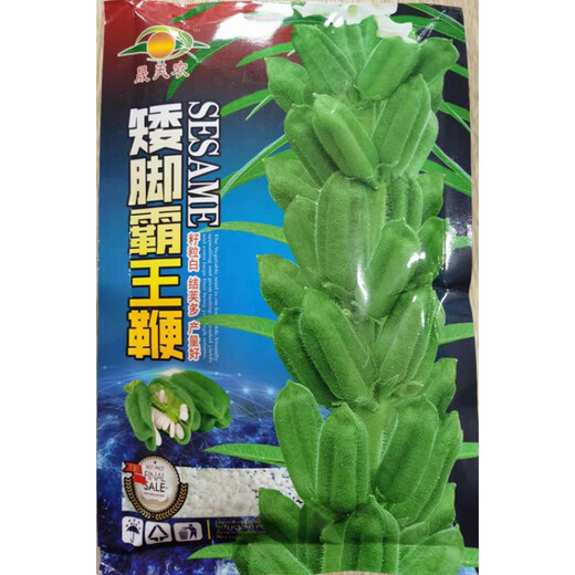 Dwarf small white sesame seeds, more oily, stain-resistant, high-yielding, easy to plant in large fields, resistant to lodging, aerospace giant sesame seeds 100g original, high-yield and disease-resistant