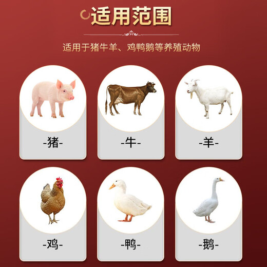 Healthy Agriculture and Animal Husbandry Astragalus Polysaccharide Veterinary Pigs, Cattle and Sheep Improve Immunity Astragalus Powder Disease-Resistant Feed Additive Astragalus Soluble Powder 10 barrels (buy more and get a great deal)