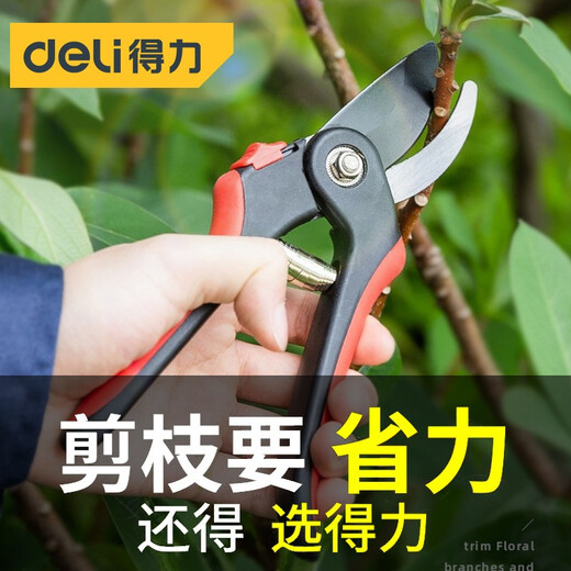 得力（deli）省力果树剪刀修枝剪枝剪园艺剪刀粗枝花卉园林工具修剪树枝剪刀 8英寸修枝剪 DL580221