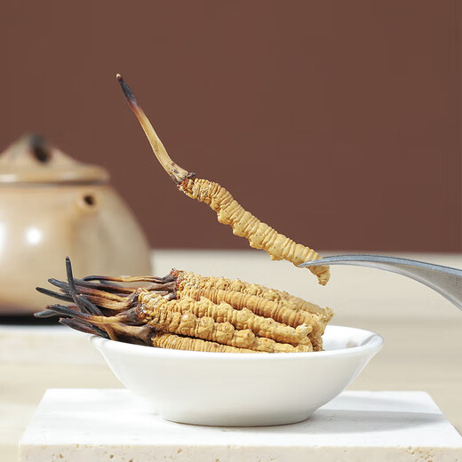Yuanjiang Grass Cordyceps Sinensis Haute à altitude Nouveau boîte-cadeau séchée Cordyceps pour les produits secs, livrés aux dirigeants et aux aînés 4 bâtons / g 5 grammes [boîte-cadeau à l'entouanée]