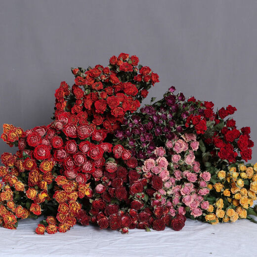 AIMAN Chinese Valentine's Day gift Yunnan multi-head dried rose bouquet rose gift shooting props decoration real flowers 10 pieces of single head treasure and a bouquet with flowers