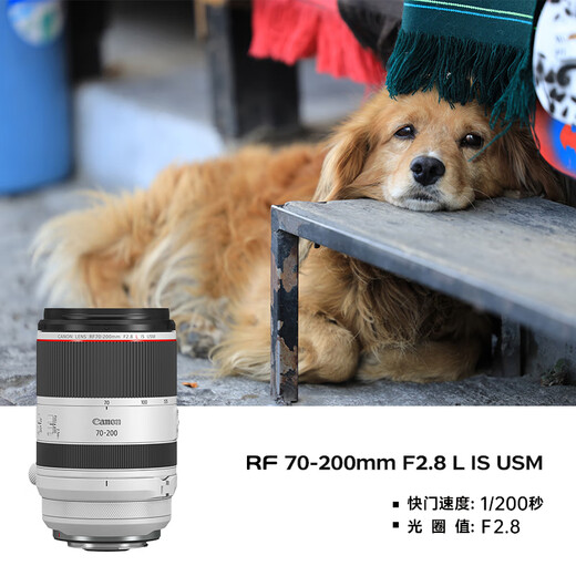 Canon r5 professional mirrorless camera, bird shooting equipment, digital camera, eos r5 full frame Vlog camera, 8K video shooting, place an order for Labubu & Jindou R5 disassembled body + RF70-200 F2.8 lens, official standard configuration, does not include memory card, camera bag, it is recommended to purchase a package