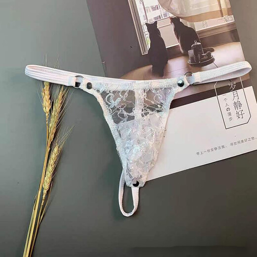 ROSELEX confidential delivery men's sexy adult thong mesh breathable underwear T-shaped pants low-waisted and transparent red one size