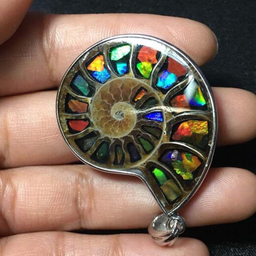 Fanluxe Canadian Ammonite Conch Colored Stone Pendant, about 30 to 35cm high, with ammolite stone inlaid in the conch.