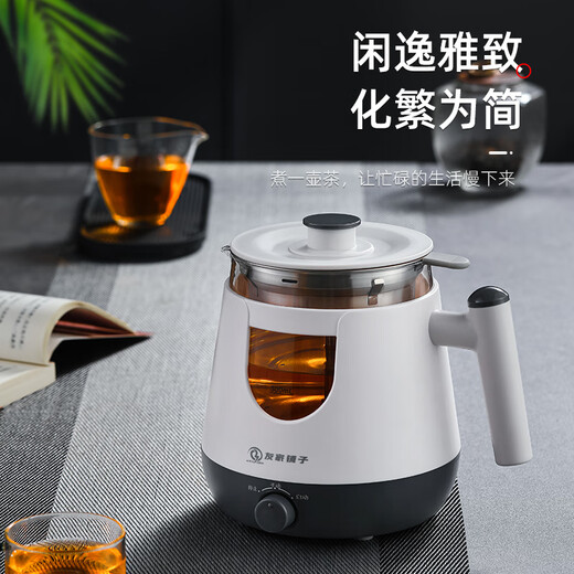Biooner tea kettle, spray type tea kettle, steam type black tea kettle, office home kettle, mini health pot flower tea kettle, white (basic model) 0.8L