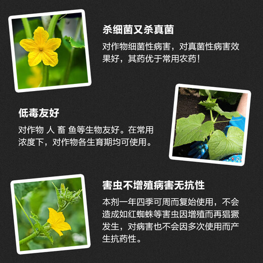 Hulian 33.5% quinoline copper fungal cucumber vegetable downy mildew organic copper pesticide fungicide 20g