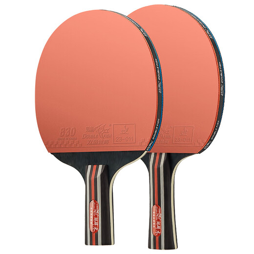 Pisces table tennis racket flagship version competition horizontal pen-hold double-sided anti-adhesive arc combined with fast attack professional table tennis racket Competition championship version 2 horizontal pen-hold shots plus ball + bag Deluxe set racket + bag + ball