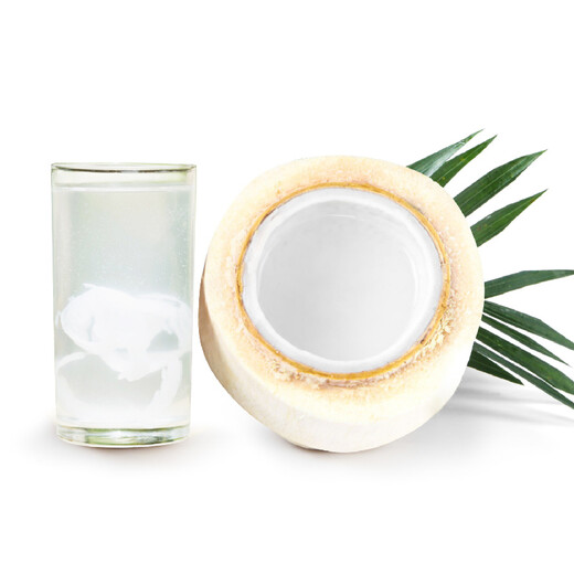 JOYVIO Thailand easy-opening coconut green 9 original boxes of large fruits 850g+ gift box fresh fruit straight from the source