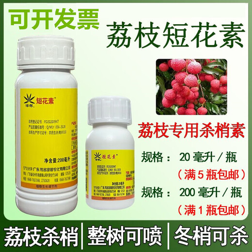Brachyphyllin, ethoxyfluorfen, specially used for lychees to control shoots and shoots, kill winter shoots, promote flowers and preserve flowers, 200 ml * 1 bottle