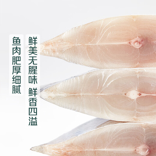 Chilled white pomfret 400g (pack of 4)