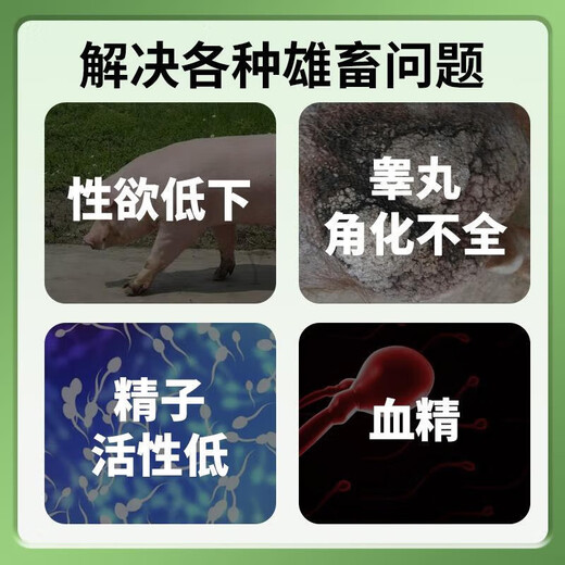 Multidimensional feed premix for breeding boars supplements vitamin nutrition to improve sperm breeding rate and extend service life 5kg/box