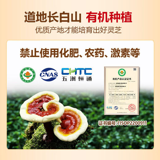 Tilemei 180 capsules extra capacity broken Ganoderma lucidum spore powder capsules Changbai Mountain to enhance immunity and nourish middle-aged and elderly people 0.25g*180 capsules/box monthly quantity