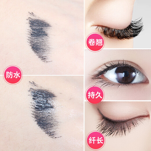 ZEESEA Zese Color Cosmetics Complete Beginner Makeup Set for Girlfriend Anniversary Festival Valentine's Day Gift