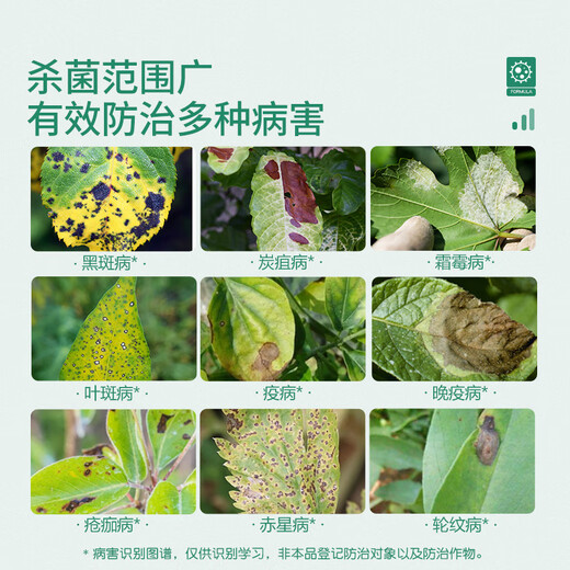 Stanley tomato special fungicide mancozeb tomato virus disease vine blight blight gray mold leaf spot pesticide 100g plant sterilization | first experience