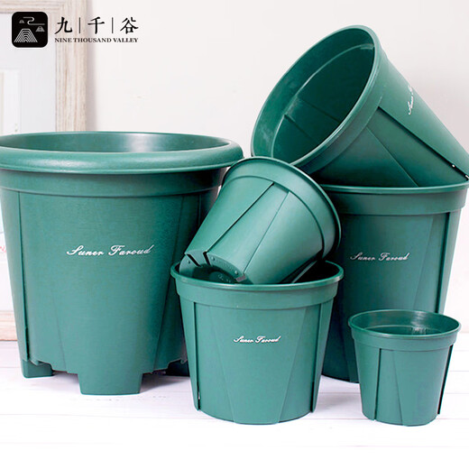 九千谷青山盆控根盆4号带托盘1.5加仑盆栽花盆控水透气 21cm3个装2691