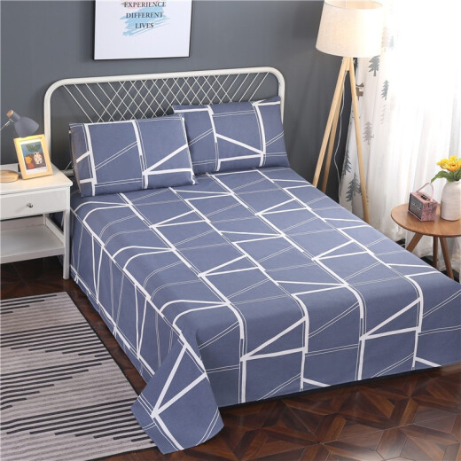 Jia Shule thickened old coarse cloth sheets student dormitory single piece pure cotton double mat home multi-dimensional space 230*250cm