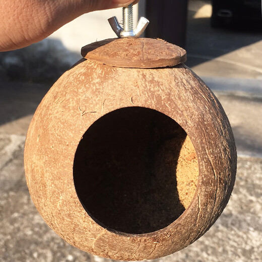 Coconut shell bird's nest, tiger skin, peony, pearl, cockatiel, coconut shell nest, grass nest, bird's nest utensils, ladder, extra large polished coconut shell nest